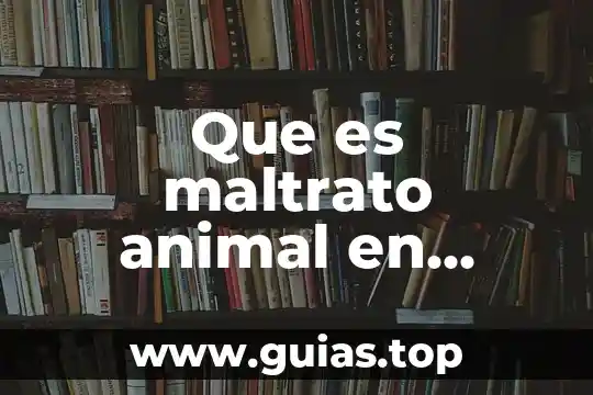 Que es el no al maltrato animal 4 Que es maltrato animal en puerto rico