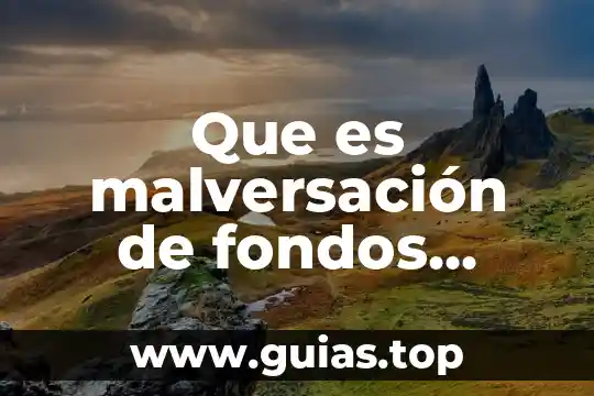 Que es una empresa administradora de fondos 6 Que es malversación de fondos publicos