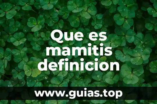 Qué es internet fijo definición cad 3 Que es mamitis definicion