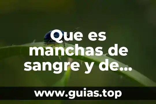 Software editor de publicaciones que es y cuales aplicaciones hay 7 Que es manchas de sangre y de que tipo hay