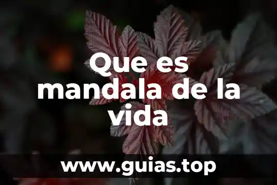 Qué es estilo de vida sano 8 Que es mandala de la vida