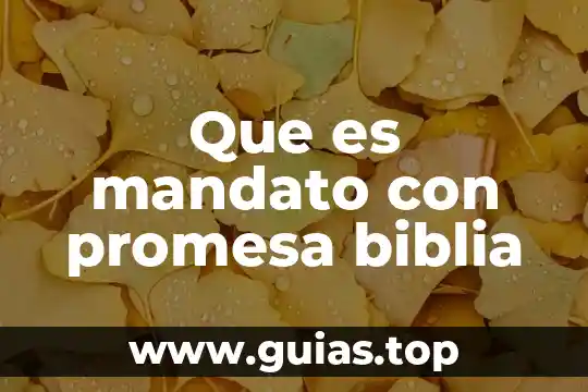 Qué es el fuego en la Biblia 3 Que es mandato con promesa biblia