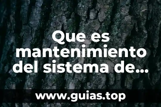 Que es un sistema nervioso muscular 7 Que es mantenimiento del sistema de control de inventarios