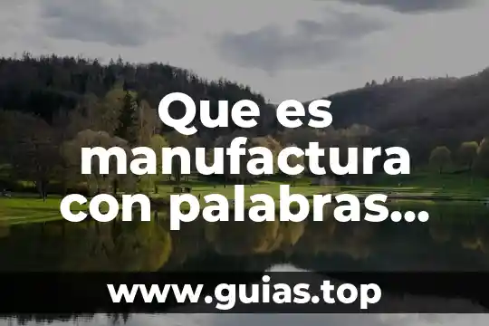 Que es el idealismo con mis palabras 8 Que es manufactura con palabras propias