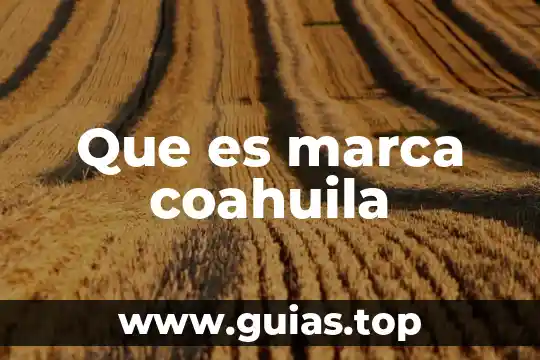 Que es potestad de administrar justicia 4 Que es marca coahuila
