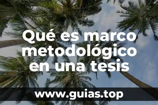 Que es marco metodológico ejemplo de Roberto Collado 6 Qué es marco metodológico en una tesis