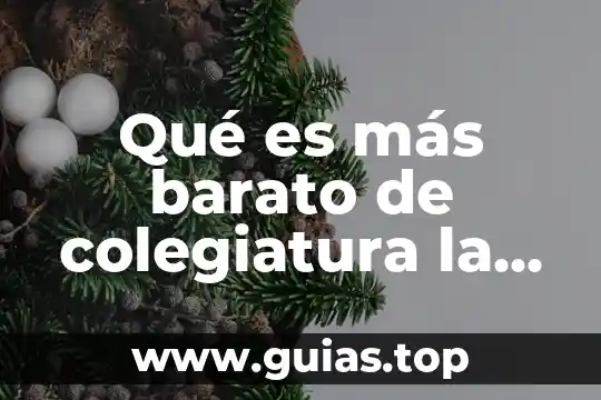 Qué es más barato inyección de tinta láser o cartuchos 7 Qué es más barato de colegiatura la prepa UAL