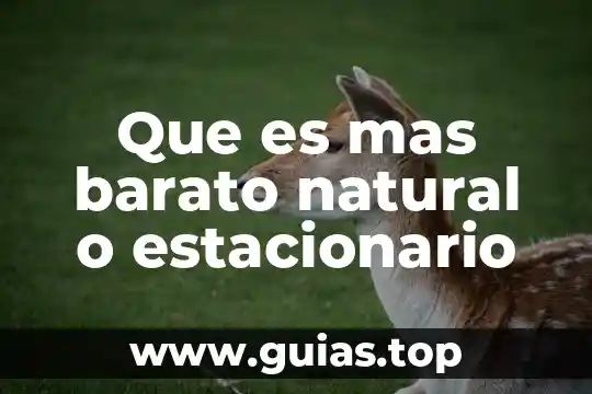 Que es mas barato natural o estacionario