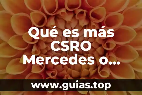 Que es habilidad y conocimiento extracurricular 4 Qué es más CSRO Mercedes o Porsche