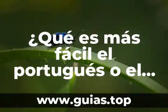 Qué es sustentabilidad definición fácil 4 ¿Qué es más fácil el portugués o el italiano?