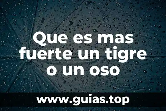 Que es mas fuerte euro o dolar 4 Que es mas fuerte un tigre o un oso