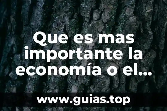 Que es el sol pero con mas importante 6 Que es mas importante la economía o el derecho