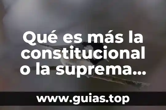 Que es capacidad segun la suprema corte de justicia 6 Qué es más la constitucional o la suprema corte