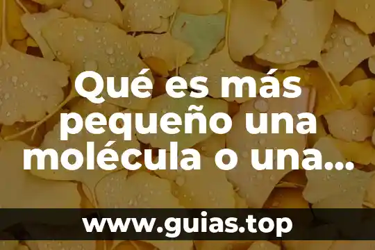Qué es una molécula de una planta 7 Qué es más pequeño una molécula o una partícula