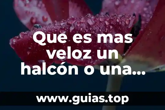 Que es lo mas asqueroso del puerpo humano 7 Que es mas veloz un halcón o una paloma