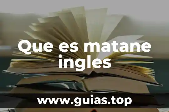 Present progressive que es en inglés structure 7 Que es matane ingles