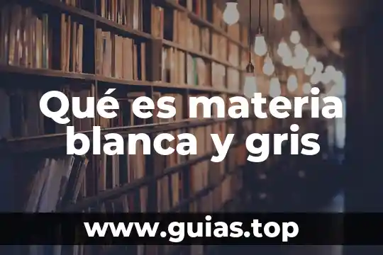 Qué es materia blanca y gris
