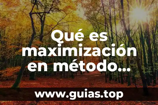 Que es el metodo instrumental 8 Qué es maximización en método simplex