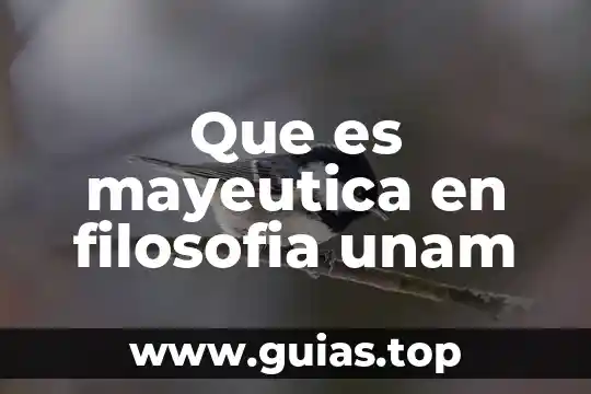 Por qué es bueno tener una filosofía empresarial 4 Que es mayeutica en filosofia unam