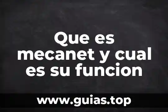 Tania garcia cancion dicen que es más fácil ser 5 Que es mecanet y cual es su funcion