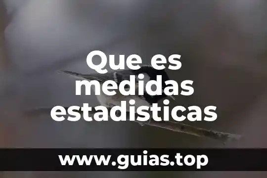 Qué es América Latina según las estadísticas 4 Que es medidas estadisticas