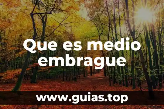 Que es medio en fisica 3 Que es medio embrague