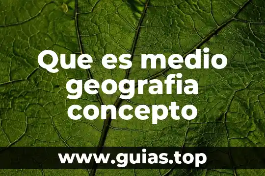 Que es la improcedencia de un medio de impugnacion 6 Que es medio geografia concepto