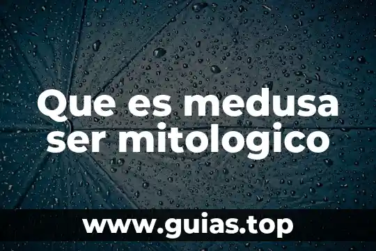 Que es ser bartender 3 Que es medusa ser mitologico