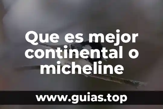 Que es un mapa a escala continental 5 Que es mejor continental o micheline