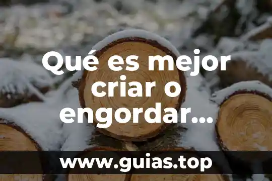Qué es lo mejor para las quemaduras del sol 3 Qué es mejor criar o engordar ovinos