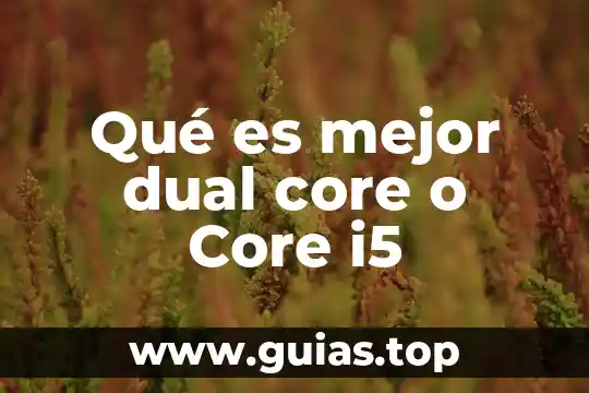 Qué es mejor Ixtapa o Huatulco 4 Qué es mejor dual core o Core i5