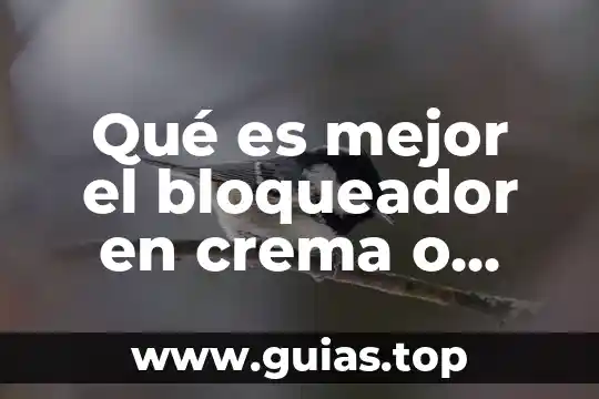 Verdad o mentira que es mejor 6 Qué es mejor el bloqueador en crema o fluido