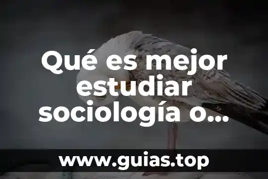 Nuez de la india para que es bueno 4 Qué es mejor estudiar sociología o psicología