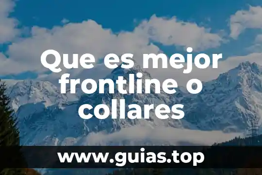 Qué es mejor racionalismo o empirismo 3 Que es mejor frontline o collares