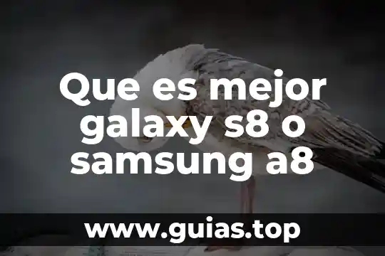Que es mejor galaxy j7 prime o lg q6 prime 5 Que es mejor galaxy s8 o samsung a8