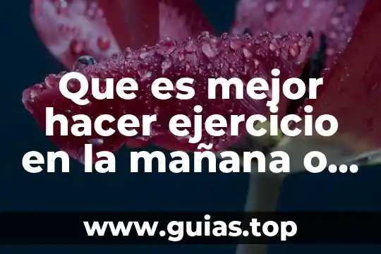 Que es significada concepto 3 Que es mejor hacer ejercicio en la mañana o tarde