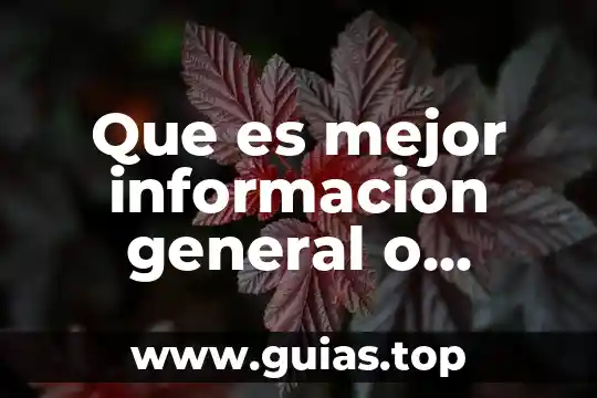 Cuadro sinóptico de que es la información cibernética 3 Que es mejor informacion general o particular
