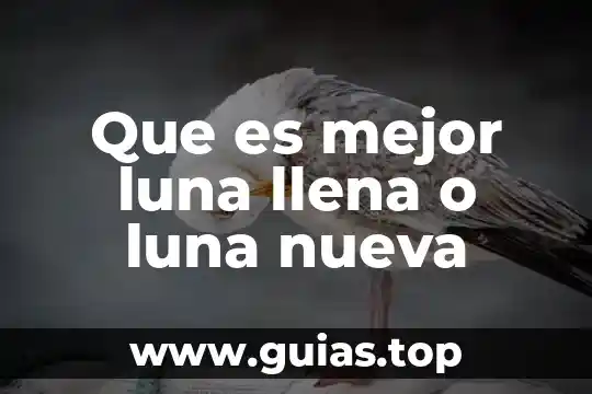 Que es la nueva formas de aprender 6 Que es mejor luna llena o luna nueva