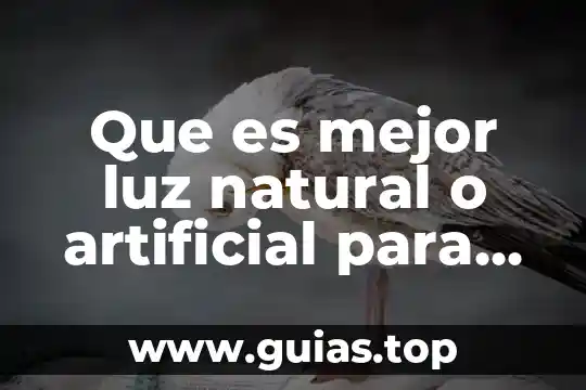 Qué es mejor el Lader o el HIFU vaginal 4 Que es mejor luz natural o artificial para los cultivos