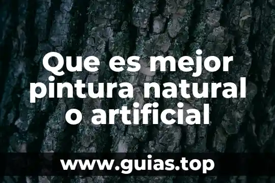 Río que es límite natural entre México y Guatemala 8 Que es mejor pintura natural o artificial
