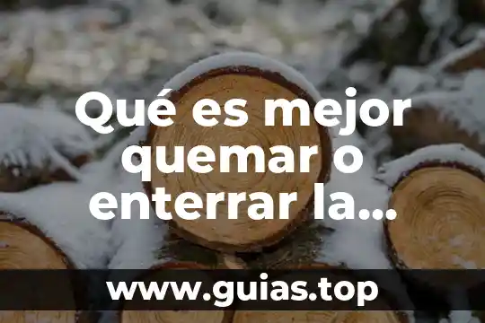 Qué es mejor Ixtapa o Huatulco 6 Qué es mejor quemar o enterrar la basura