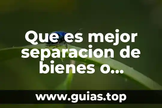 Qué es mejor Ixtapa o Huatulco 3 Que es mejor separacion de bienes o malcomunados