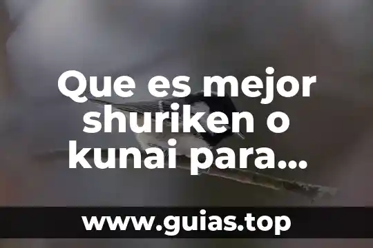 Qué es mejor racionalismo o empirismo 6 Que es mejor shuriken o kunai para kunoichi bdo