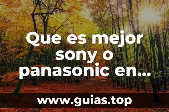 Qué es inmiscible en agua 6 Que es mejor sony o panasonic en audifonos