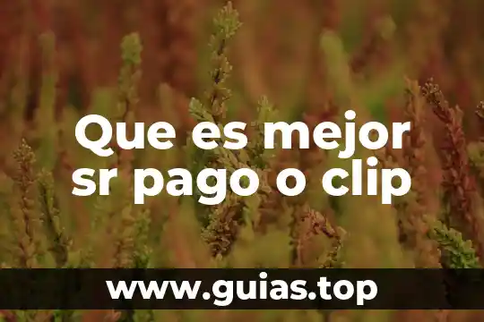 Que es un sr program manager 6 Que es mejor sr pago o clip