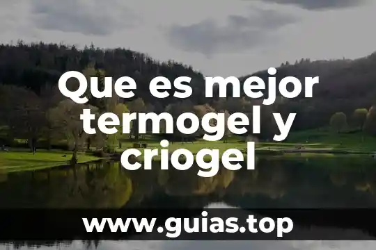 Que es una portapapeles en informatica 3 Que es mejor termogel y criogel