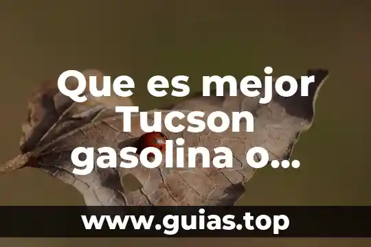 Que es mejor la estrella de azura 5 Que es mejor Tucson gasolina o diesel
