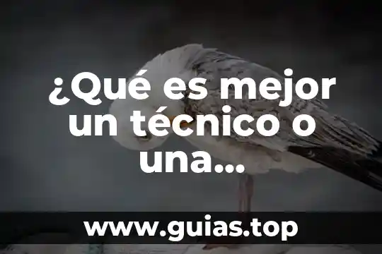 Qué es dibujo técnico examen 3 ¿Qué es mejor un técnico o una licenciatura en gastronomía?