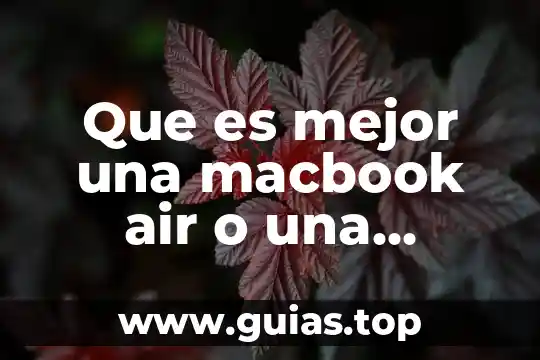 Principio de pro persona que es 8 Que es mejor una macbook air o una macbook pro