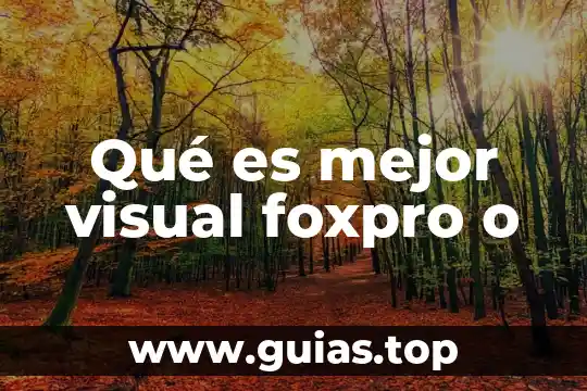 Qué es mejor atún de agua o aceite 8 Qué es mejor visual foxpro o